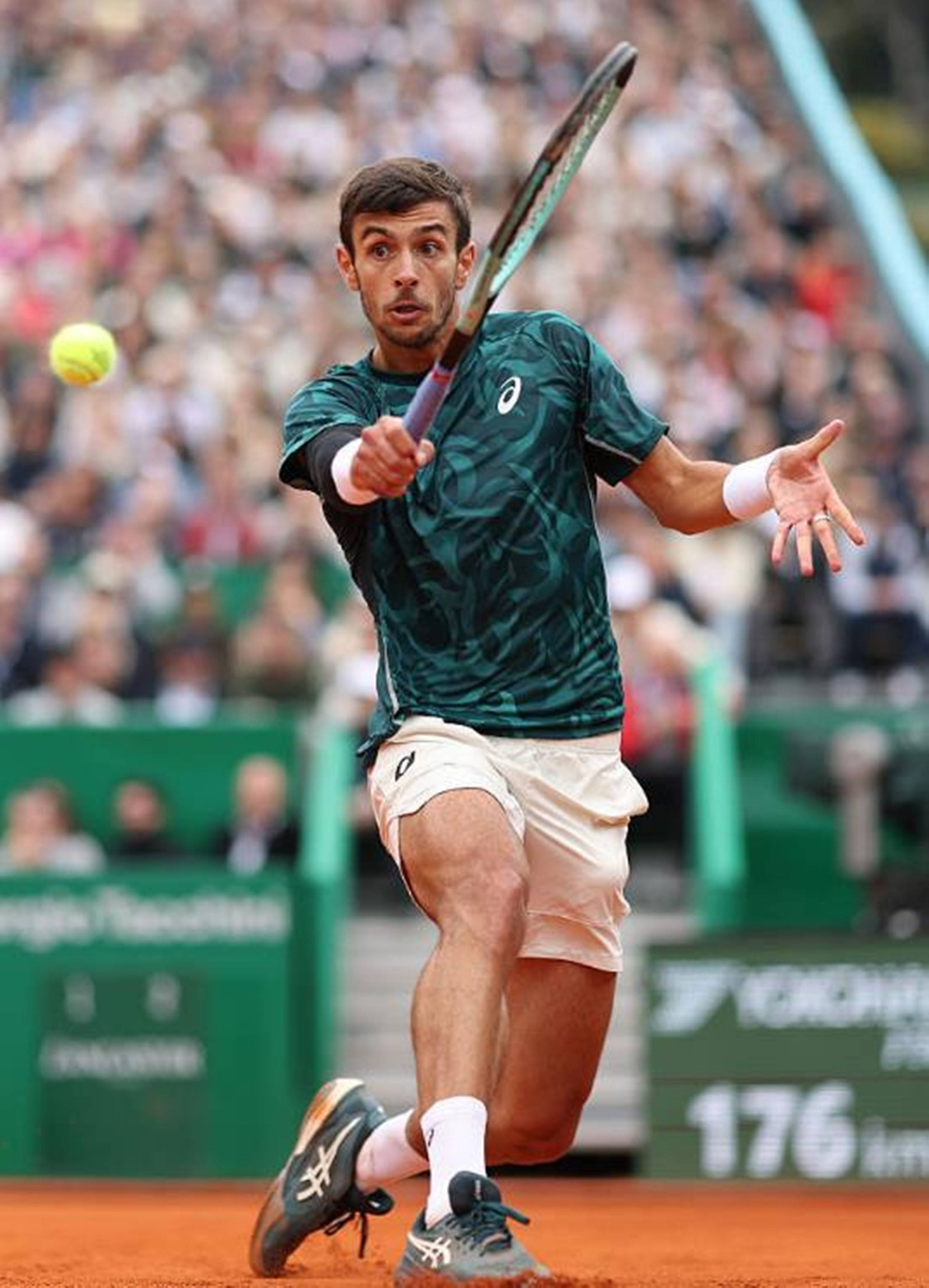 相比有着显 相比有着显